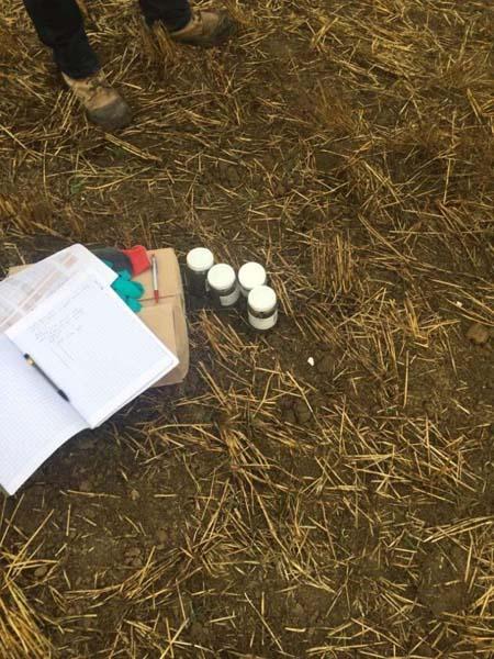 Maîtrise d'œuvre Les Ulis