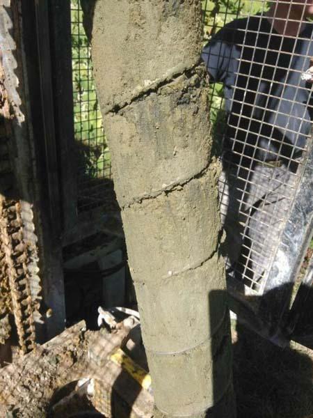 Diagnostic environnemental Les Ulis