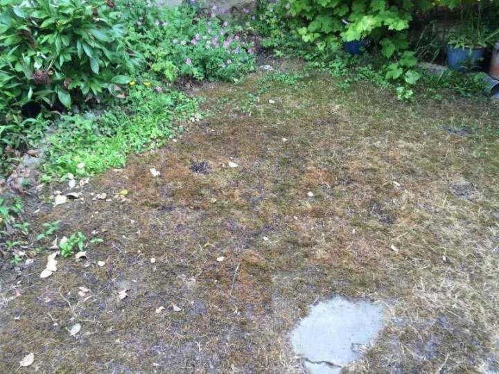 Maîtrise d'œuvre Les Ulis