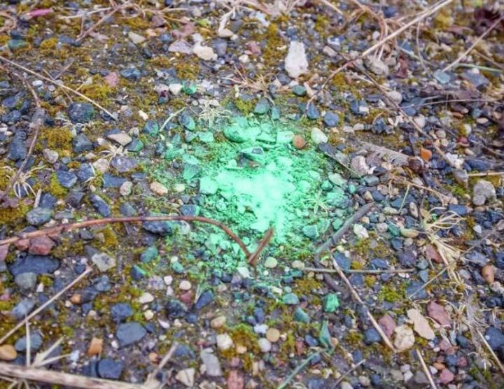 Diagnostic environnemental Les Ulis