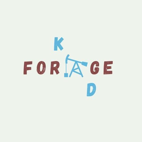 logo KD Forage